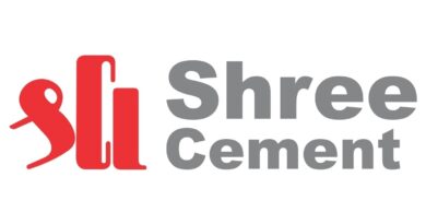 shree cement