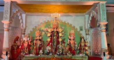 Godrej aer at Durga Pujo pandal