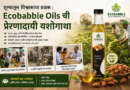 शून्यातून विश्वासाचा प्रवास : Ecobabble Oils ची प्रेरणादायी यशोगाथा ecobabble